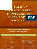 Situación Y Perspectiva Dela Producción de Carne A Nivel Nacional