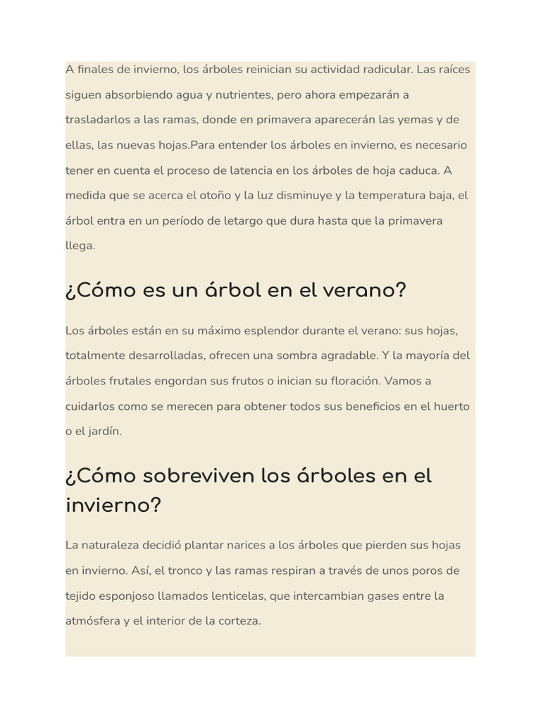 Arbol de Invierno PDF Arboles Temporada