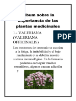Álbum Sobre La Importancia de Las Plantas Medicinales