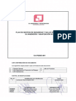 CA-PGSSO-001 Plan Gestion SSO