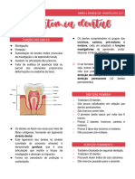 Anatomia Dental