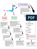 Filogenia y Ontogenia Del Sistema Nervioso