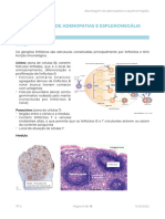 EM3 - Hematologia - TP2 - Abordagem de Adenopatias e Esplenomegália - 19.09.2022
