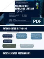 Sociedad de Responsabilidad Limitada - Compressed - Compressed-Comprimido