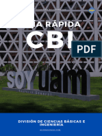 Guía Rápida CBI