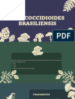 Paracoccidioides Brasiliensis