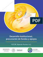 Desarrollo Institucional, Procuración de Fondos y Apoyos 2017