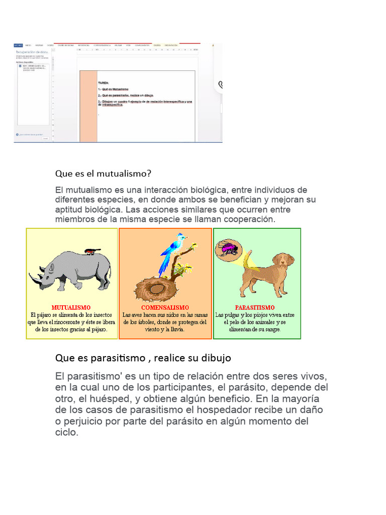 Mutualismo y Parasitismo: Definiciones y Ejemplos | PDF