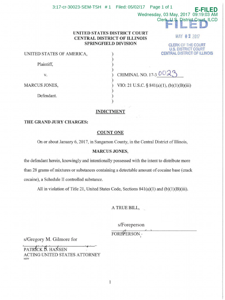 U.S. District Court Filing 3:17-cr-30023 | PDF