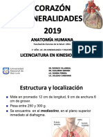 Generalidades Corazon - Anatomia