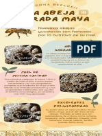 Infografía Abeja Maya Orgánico Aesthetic Amarillo Pastel