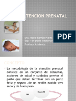 Atencion Prenatal 2