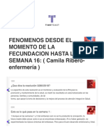 Fenomenos Desde El Momento de La Fecundacion Hasta La Semana 16 - (