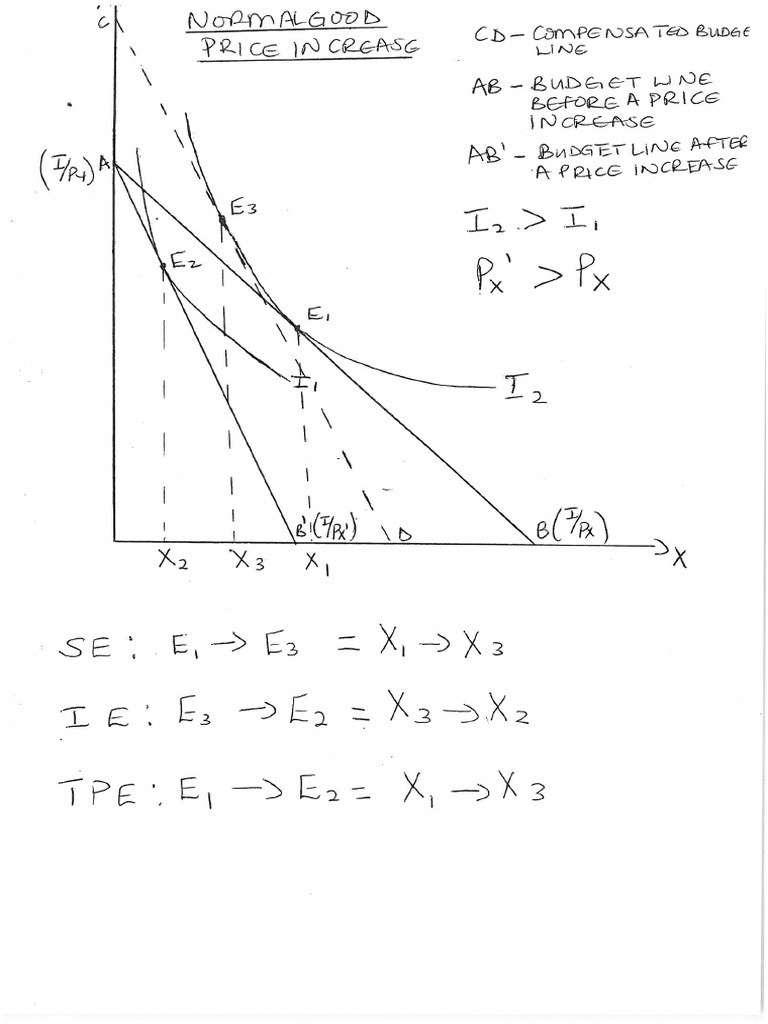 Tpe Se Ie - Normal and Inferior Goods | PDF