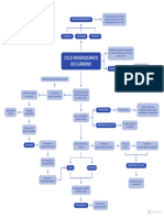 BIO MM Ecologia Ciclo Biogeoquímico Do Carbono