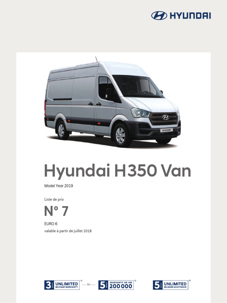 Hyundai H350 Probleme