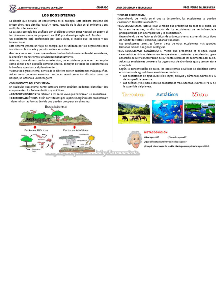 Tipos y Componentes de Ecosistemas | PDF | Ecosistema | Ecología