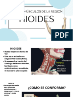 HIOIDES