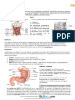 Parcial 4