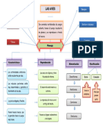 Mapa Conceptual Bello de Las Aves