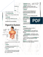 Digestive System