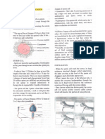 FERTILIZATION-TO-IMPLANTATION (1)