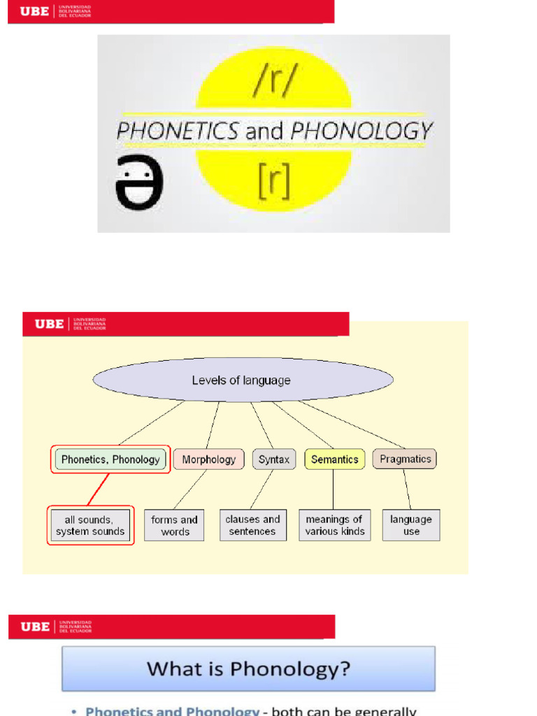 Phonetics and Phonology Overview | PDF | Phonetics | Phonology