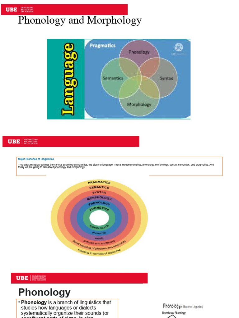Phonology and Morphology. Unit 1. PDF Phonology Word