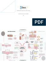 Mapa Mental Contracc 249633 Downloadable 3885953