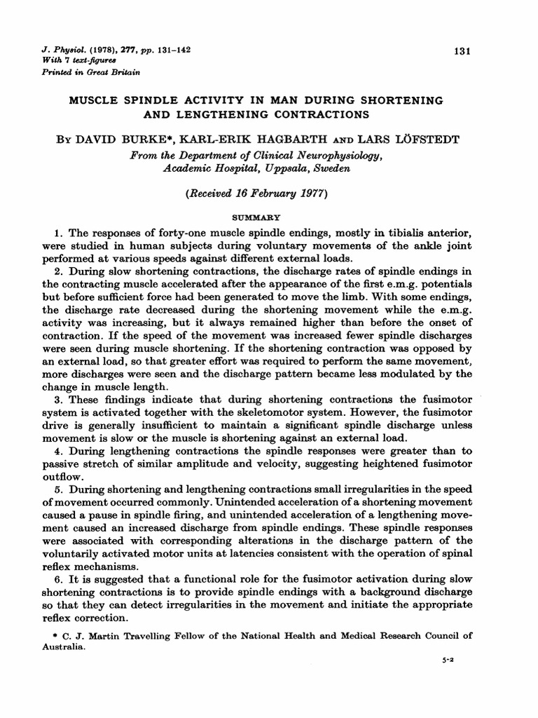 1978 Muscle Spindle Activity in Man During Shortening and Lengthening
