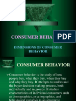 Dimensions of Consumer Behavior