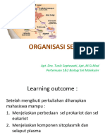 p1 Dan 2 Organisasi Sel