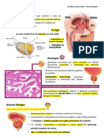 Resumo Uropatologia