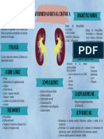 Enfermedad Renal Crónica