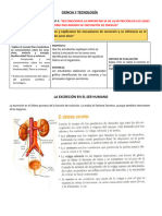 Ficha de Trabajo #6 C y T