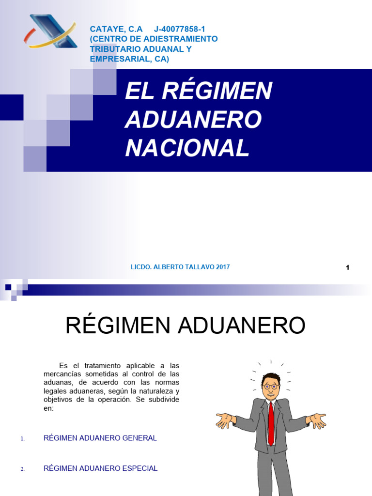 Tema6 Regimen Especial Aduanero Pdf Aduana Gobierno