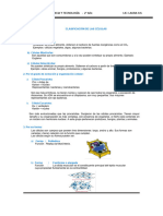 2sec Clasificación Célula