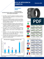 CIEN NSIM2 Diciembre 2022 Neumaticos