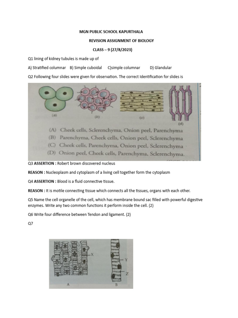 Assignment of biology class 9 27 8 23 pdf science mathematics