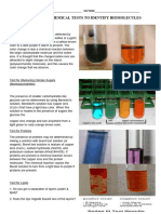 Biomolecules in Food Sample