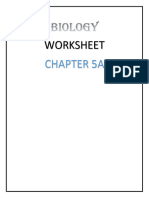 Worksheet: Chapter 5A