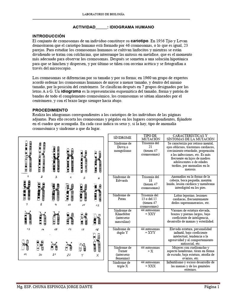 Idiograma y Cariotipo Humano | PDF | Cromosoma | Cariotipo