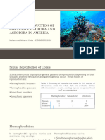 Sexual Reproduction of Corals Pocillopora and Acropora in America