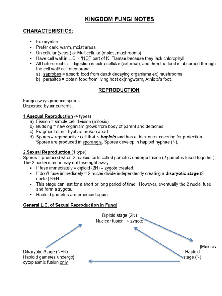 Kingdom Fungi NOTES PDF Fungus Ploidy
