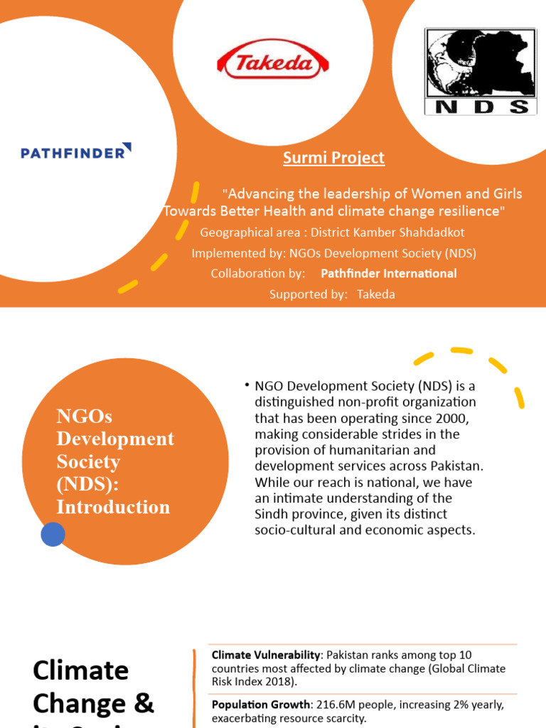 NDS-SURMI Project Progress Final | PDF