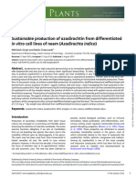 Sustainable Production of Azadirachtin From Differentiated in Vitro Cell Lines of Neem (Azadirachta Indica)