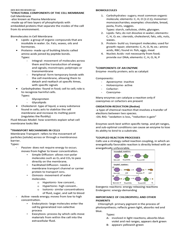 Structural Components of The Cell Membrane | PDF | Cellular Respiration ...