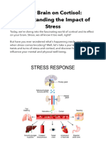 Your Brain On Cortisol Understanding The Impact of Stress