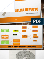 Aula de Neuroanatomia - Copia 2023