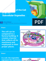 LESSON 2 - SUBCELLULAR ORGANELLES. PART 2pdf